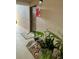 Condo unit entrance with plants, a textured wall, and a fire extinguisher box at 1515 Forrest Nelson Blvd # P107, Port Charlotte, FL 33952