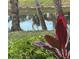 Scenic view of a pond and heron in the community at 1515 Forrest Nelson Blvd # P107, Port Charlotte, FL 33952