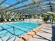Enjoy the community's covered pool area complete with lounge chairs and shade umbrellas at 1515 Forrest Nelson Blvd # P107, Port Charlotte, FL 33952