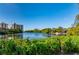Beautiful lake view surrounded by lush greenery and mature trees, creating a serene setting at 231 Hourglass Way # V5, Sarasota, FL 34242