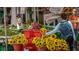 Local farmers market featuring fresh produce, including colorful sunflowers, and community members at 2416 Webber St, Sarasota, FL 34239