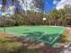 Outdoor basketball court in a community setting, featuring green surface, white lines, and surrounding trees at 9043 39Th Street E Cir, Parrish, FL 34219