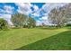 Expansive backyard with lush green grass and mature trees under a sunny sky at 26052 Salonika Ln, Punta Gorda, FL 33983