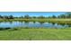 Expansive backyard view features green grass, a pond, and mature trees, perfect for outdoor activities at 4060 Penshurst Park, Sarasota, FL 34235