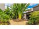 Inviting front entrance with tropical plants and a decorative stone walkway, enhancing curb appeal at 5135 Riverwood Ave, Sarasota, FL 34231