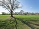 Backyard with a large tree, view of the golf course and a pond at 6501 Stone River Rd # 205, Bradenton, FL 34203