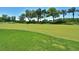Immaculate putting green with flagsticks, surrounded by lush green grass, and mature trees at 6501 Stone River Rd # 205, Bradenton, FL 34203