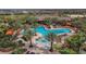 Resort-style swimming pool with palm trees, lounge chairs, and a hot tub for ultimate relaxation at 13038 Prima Dr, Bradenton, FL 34211