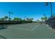 Enjoy a match on this community tennis court surrounded by lush landscaping and palm trees at 13038 Prima Dr, Bradenton, FL 34211