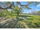 Expansive yard space with mature trees and greenery at 2855 Mira Loda Dr, Sarasota, FL 34240