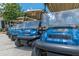 Image features a row of blue golf carts at The Concession, Royal Birkdale 1969, with the logo clearly displayed at 19424 Ganton Ave, Lakewood Ranch, FL 34202