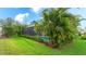 Beautiful backyard pool with screened enclosure, mature palm trees, and well-maintained landscaping at 3839 Autumn Fern Ter, Sarasota, FL 34243
