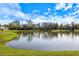 Scenic view of a calm pond surrounded by green grass and mature trees at 12518 Oak Hill Way, Parrish, FL 34219
