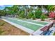 Community shuffleboard area is surrounded by lush greenery at 3630 White Pine Ct # 138, Sarasota, FL 34238