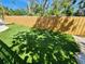 Lush green backyard with new fence that offers a serene and private outdoor space at 4661 Alligator Dr, Venice, FL 34293