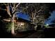 Night view of a tree-lined street and home with landscape lighting that highlights the property at 7305 Birds Eye Ter, Bradenton, FL 34203