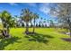 Lush lawn and palms add beauty to this backyard at 8901 Artisan Way, Sarasota, FL 34240
