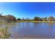 Scenic view of a tranquil pond surrounded by lush landscaping and mature trees under a clear blue sky at 1153 Edgewater Cir, Bradenton, FL 34209
