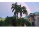 View of palm trees next to the house with a rainbow in the background at 1211 Peridot Lane, Sun City Center, FL 33573