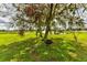 Expansive backyard featuring a tire swing on a mossy oak tree by the waterfront, for leisurely outdoor enjoyment at 15890 County Road 675, Parrish, FL 34219