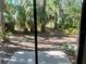 View of the backyard and tropical vegetation from the patio at 1697 Brookhouse Cir # 116, Sarasota, FL 34231