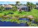 Scenic view of backyard with a pond, lily pads, lush greenery, and screened in lanai at 1720 85Th Nw Ct, Bradenton, FL 34209