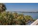 Stunning water view with a bridge in the distance, showcasing lush palm trees and clear blue skies at 500 N Osceola Ave # 203, Clearwater, FL 33755