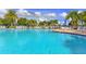 Large community swimming pool with ample lounge chairs and umbrellas, surrounded by palm trees on a bright day at 7649 Quinto Dr, Sarasota, FL 34238