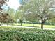 A picturesque view of green space featuring mature trees, lush landscaping, and a serene environment at 7649 Quinto Dr, Sarasota, FL 34238