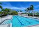 Outdoor lap pool with clear water, lounge chairs and palm trees, ideal for swimming and relaxing on a sunny day at 7649 Quinto Dr, Sarasota, FL 34238