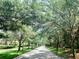 Picturesque street lined with lush trees, creating a serene and inviting atmosphere for residents at 7649 Quinto Dr, Sarasota, FL 34238