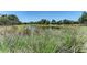 Scenic community pond with native grasses in the foreground and lush landscaping beyond at 12343 Halfmoon Lake Ter, Bradenton, FL 34211