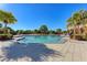 Large community swimming pool with clear blue water, surrounded by palm trees and lounge chairs at 12343 Halfmoon Lake Ter, Bradenton, FL 34211