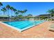 Community pool area with lounge chairs and palm trees under a clear blue sky at 1718 Starling Dr # 104, Sarasota, FL 34231