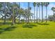 Expansive grassy area with mature trees and a tranquil pond, great for outdoor enjoyment at 2320 Terra Ceia Bay Blvd # 406, Palmetto, FL 34221