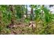 View of a wooded backyard with tropical plants partially obscuring the house, creating a private, natural space at 2625 Yuma Ave, North Port, FL 34286