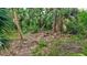 An overgrown vacant lot with dense foliage and small trees, creating a natural, undeveloped setting at 2625 Yuma Ave, North Port, FL 34286