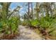 Walking path through the community with trees and lush foliage on a sunny day at 3330 Thornwood Rd # 3330, Sarasota, FL 34231