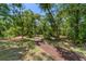 A mulch walking trail winds through a lush, green wooded area at 3330 Thornwood Rd # 3330, Sarasota, FL 34231