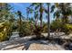 Paver patio with lounge chairs surrounded by lush greenery, offers a serene spot by the water at 527 Magnolia Ave, Anna Maria, FL 34216