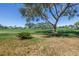 Scenic view of the golf course with mature trees and lush green fairways on a sunny day at 6120 43Rd W St # 103B, Bradenton, FL 34210