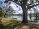 Scenic view of a peaceful pond surrounded by mature trees at 6916 Stoneywalk Ct # 6916, Bradenton, FL 34203
