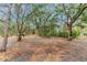 Natural Florida property covered in mature trees and palmetto palms, offering a serene setting at 7601 226 E St, Bradenton, FL 34211
