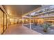 Modern courtyard with minimalist landscaping, surrounded by glass windows leading into the home at 820 Whitfield Ave, Sarasota, FL 34243