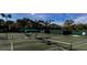 Well-maintained tennis courts with green surface, nets, and surrounding greenery at 10406 Eastwood Dr, Bradenton, FL 34211