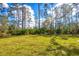 Expansive backyard with lush green grass and natural landscaping at 12495 Patsy Ave, Port Charlotte, FL 33981