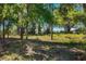 A view of the expansive backyard with a view of a fence and a shed in the distance at 34200 State Road 62, Parrish, FL 34219