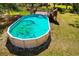 Aerial view of above ground swimming pool with attached deck in the backyard at 34200 State Road 62, Parrish, FL 34219