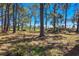 Shaded view of the property featuring mature trees and a grassy area on a sunny day at 34200 State Road 62, Parrish, FL 34219