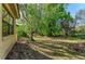 Expansive backyard featuring mature trees, offering plenty of shade and natural beauty at 3751 Eagle Hammock Dr, Sarasota, FL 34240